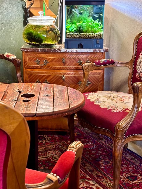 Vintage living room with wooden furniture, burgundy chairs, aquariums on inlaid dresser, and Persian rug